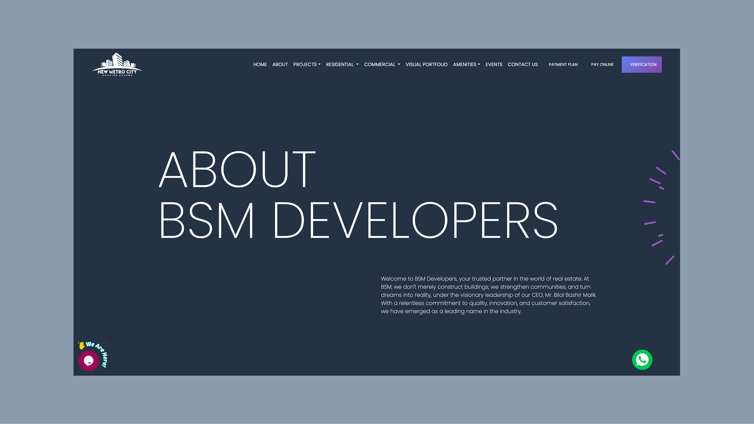 New Metro City website design project